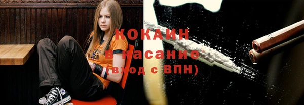 прущая мука Арсеньев